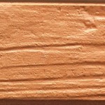 Old_Pine_1021